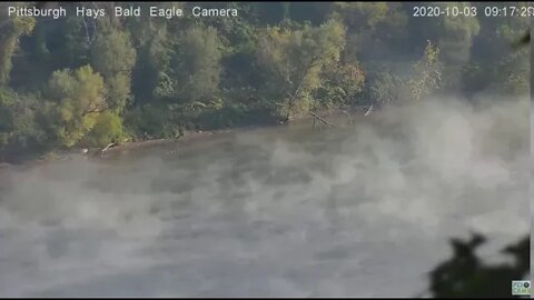 Fog rolling on the Monongahela river near the Hays Bald Eagle Nest 2020 10 03 09 16 10 475