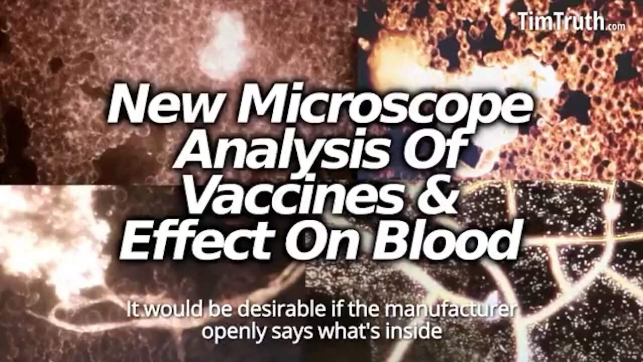 Vaccinated blood under the microscope