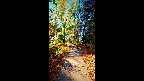 Autumn in Canada 🇨🇦