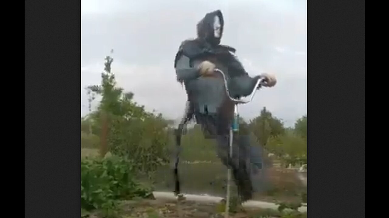 When An Engineer Designs a Scarecrow - HaloNews