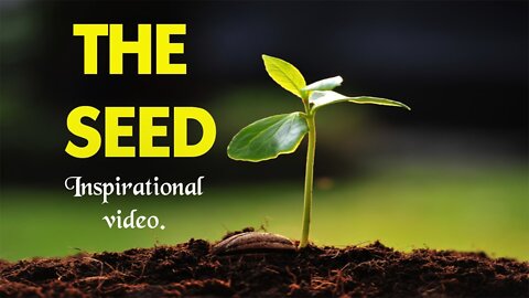 THE SEED - Inspirational Short Clip