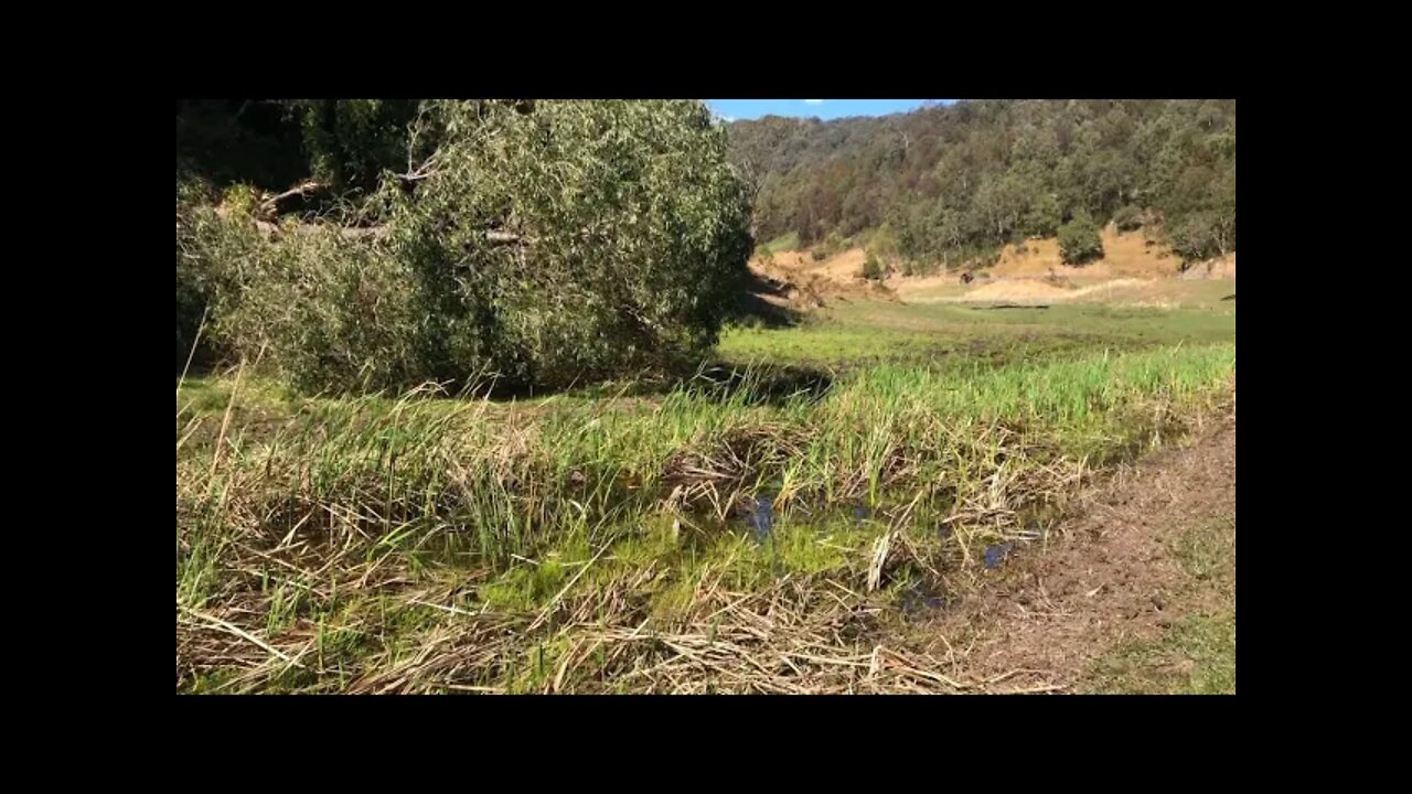 A review of our creek and pasture. I scare our flock of resident ducks