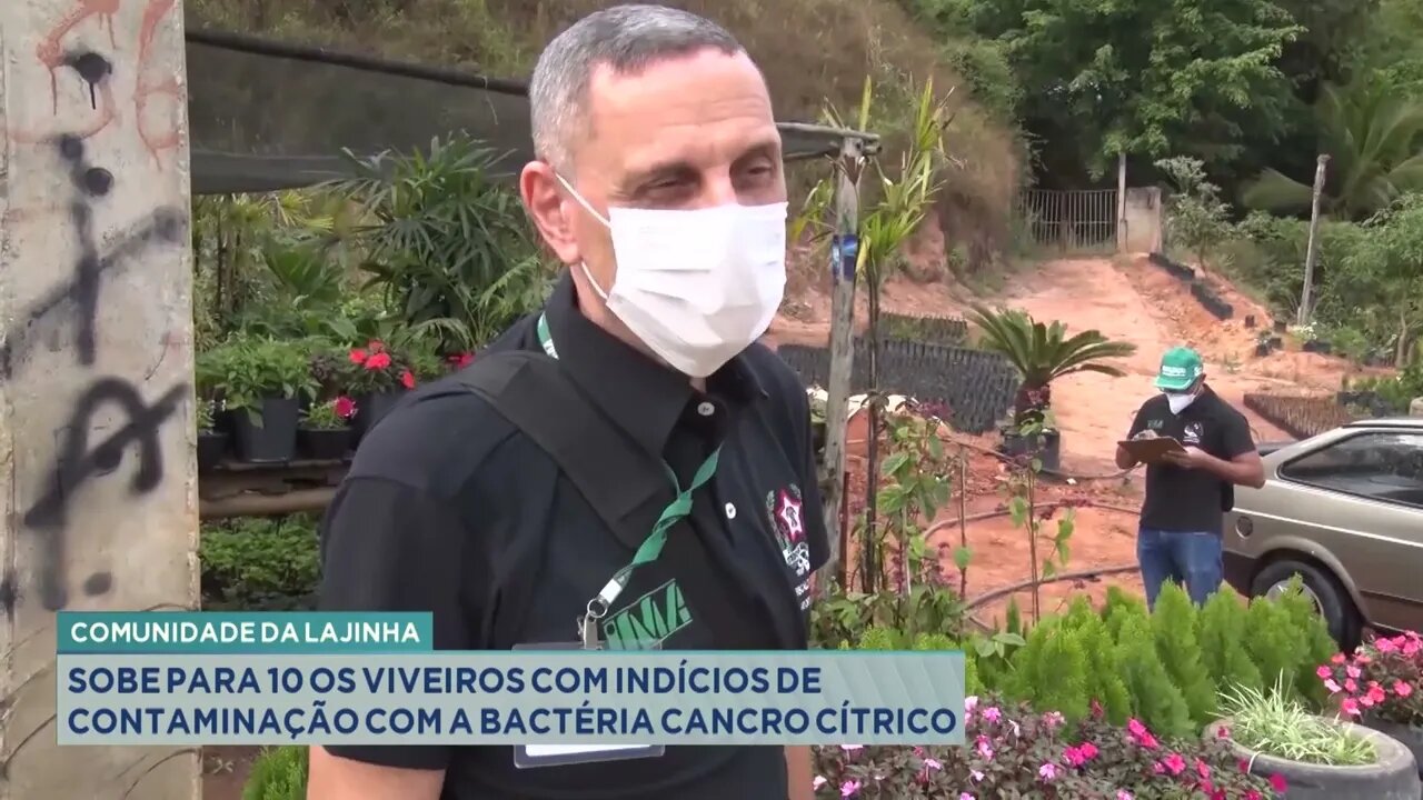 Comunidade da Lajinha: subiu para 10 os viveiros com indícios de contaminação com a bactéria can