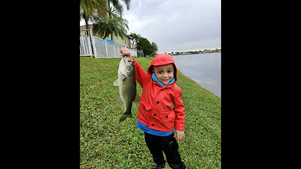 Pre spawn florida bass