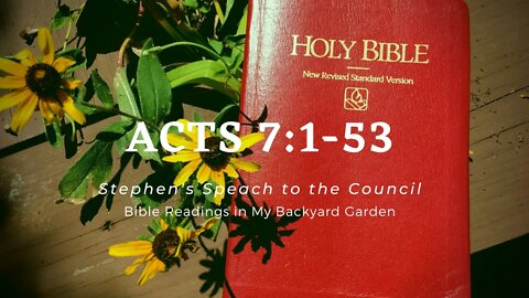 ACTS 7:1-53 (Stephen's Speech to the Council)