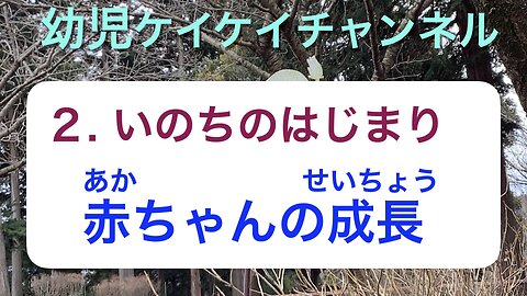 幼児2・いのちの始まり：赤ちゃんの成長