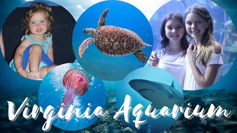 Family of 10 Visits Virginia Aquarium