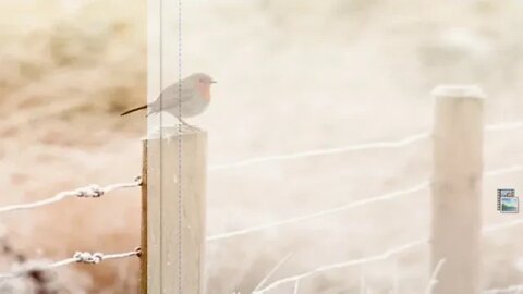 7. und 9. Tag Novene zur Unbefleckten Empfängnis