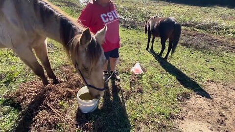 17 June 2022 some of Arthur’s friends join him at Penny’s grave in his last hour with us 🥲💔