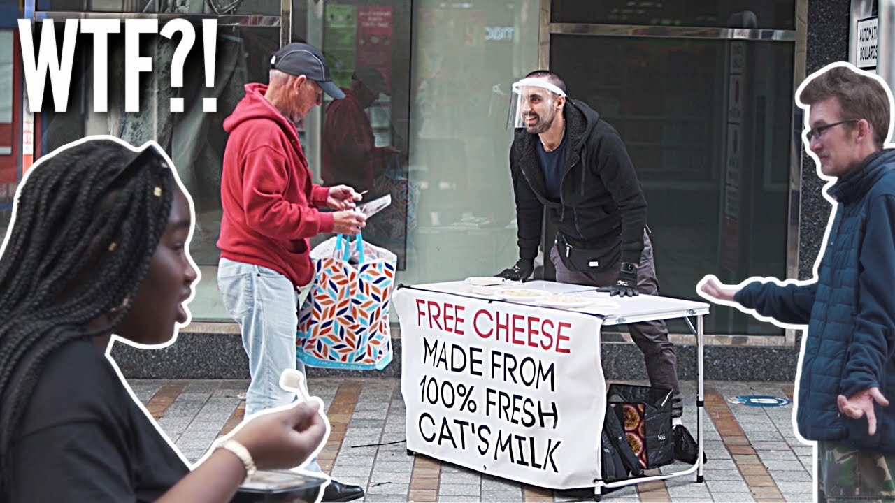 Vegan Gives Out CAT'S MILK CHEESE
