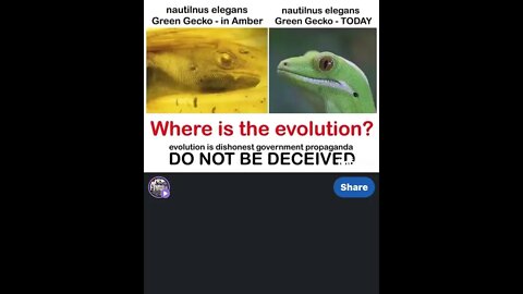 Where is the Evolution? Time to question the lie