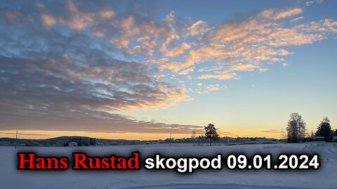 Skogpod 9. januar 2024