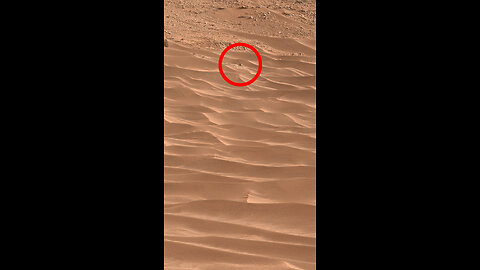 Som ET - 58 - Mars - Curiosity Sol 703 - Video 1