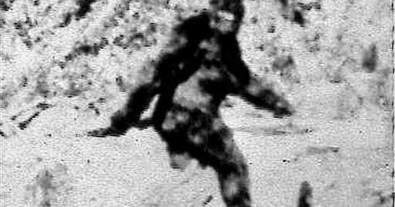 Evidence of bigfoot