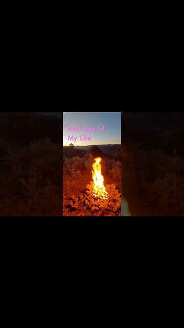 best day of my life boondocking in my tiny home campervan with eddie murphy