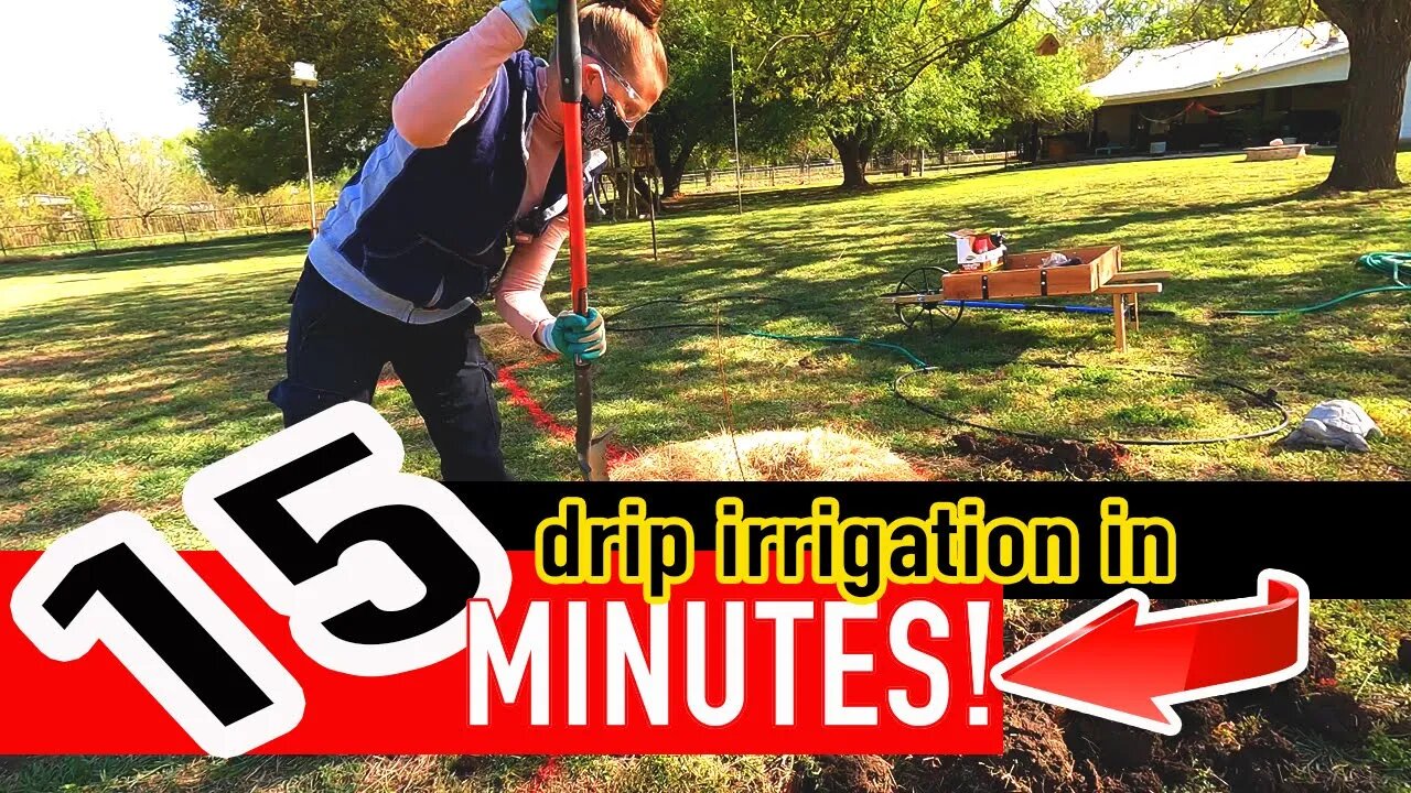 Installing a Drip Irrigation System For Trees | Time Lapse Video