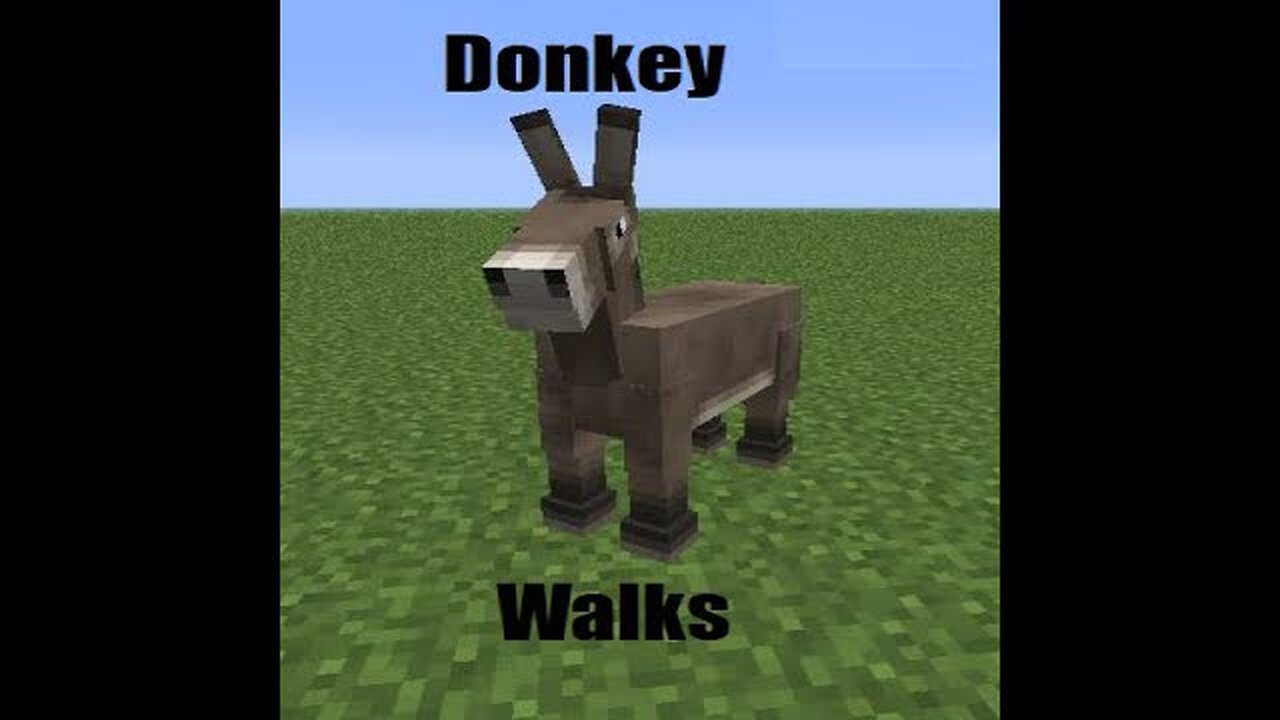 Donkey Walks (Drehmal Primordial Funny Moments)