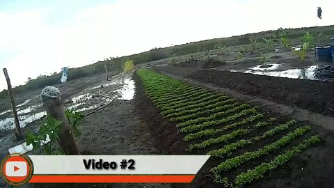 Terra arada e pronta para olantar depois das chuvas