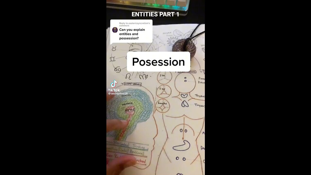 Experience