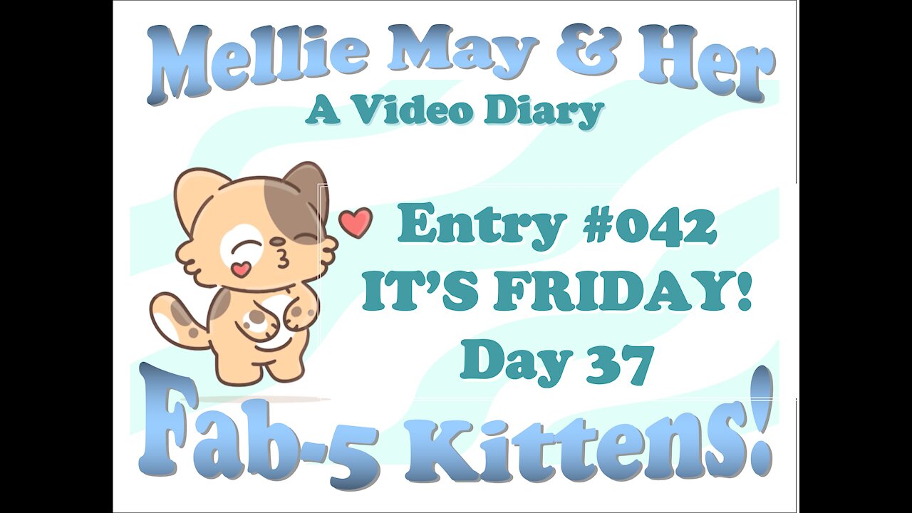 Video Diary Entry 042: Day 37 - It's Friday! (Fast Food Day) Good Stuff!