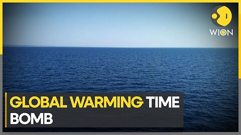 'Oceans becoming ticking time bombs' | WION Climate Tracker | Latest World News | English News