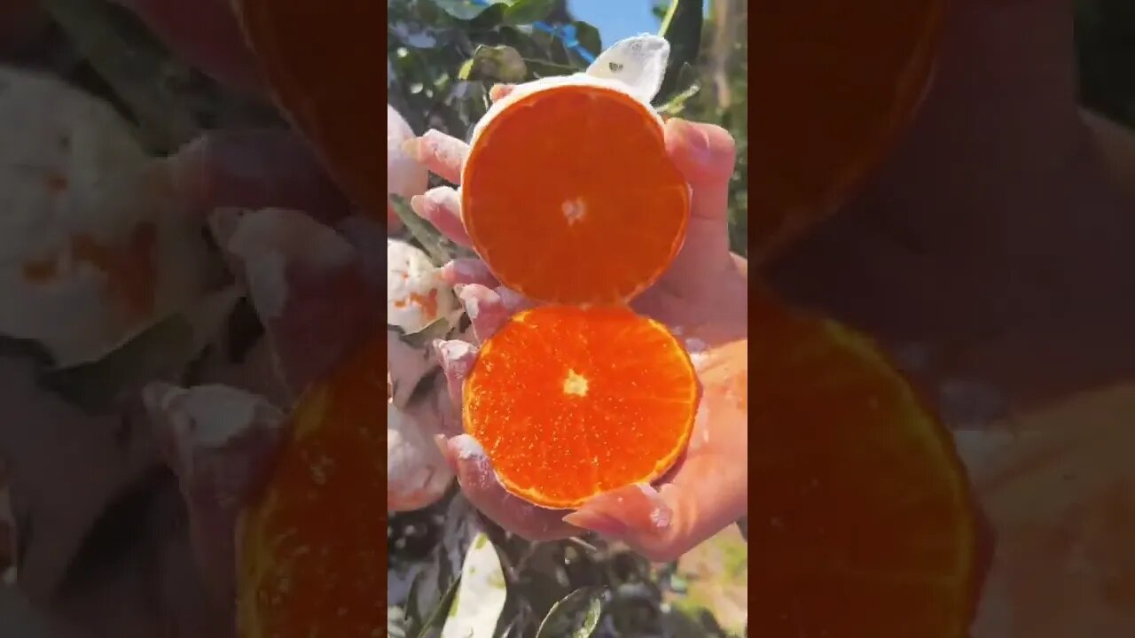 ICE orange Satisfying's #trending #shorts