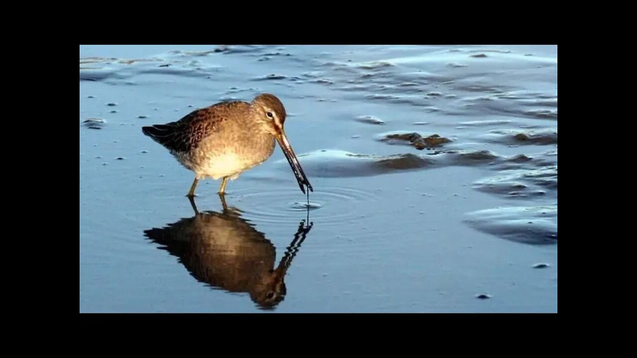 Yardism Live 5-16-22