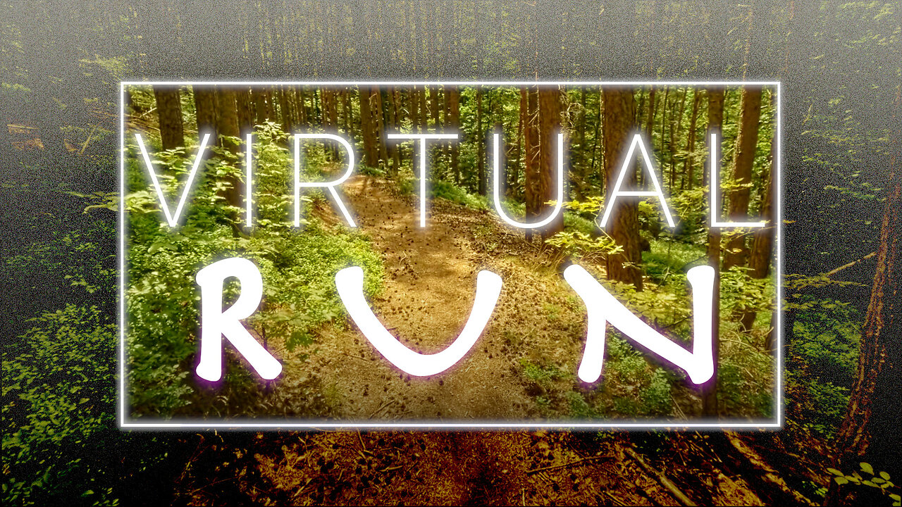 Virtual Run - Summer Forest - POV [Run #2]