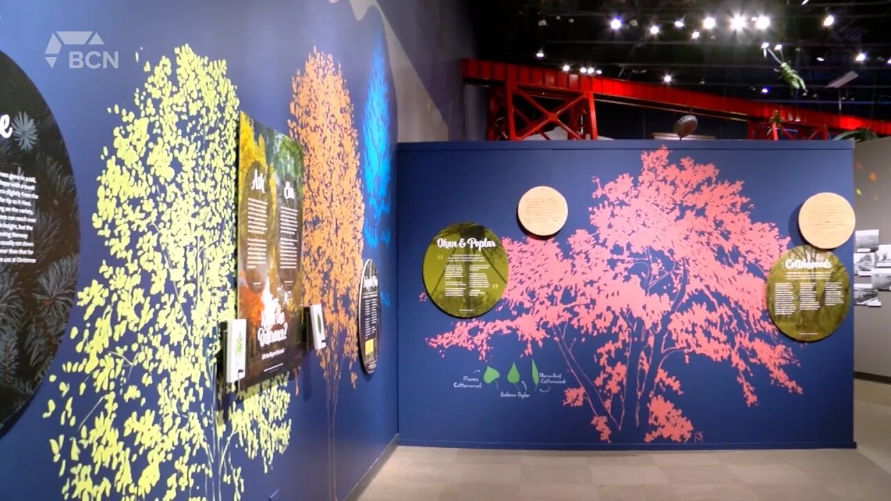 Galt Museum Featuring "Rooted: How Trees Give Us Life" Exhibition - May 27, 2022 - Micah Quinn