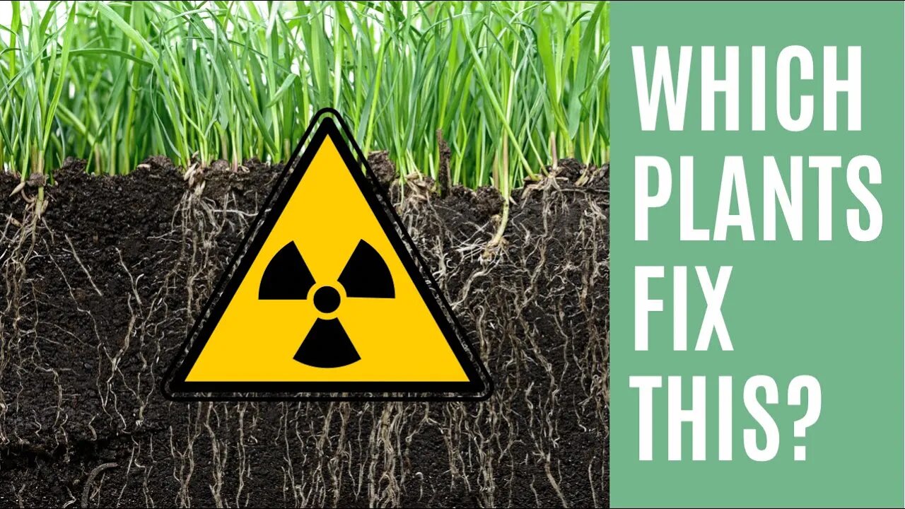 Reclaiming Soil After Exposure To Nuclear Contamination. How Does Soil Rebound From Catrastophy?