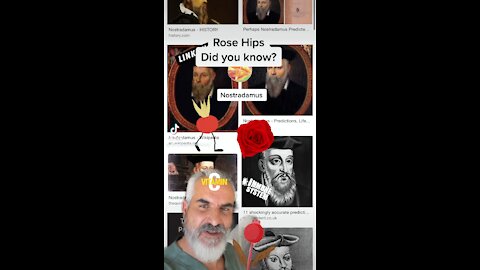 Nostradamus & Rose Hips