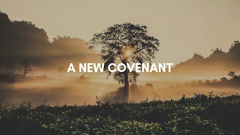 New Covenant, 2 Witnesses and the End Time Plan - A Revelation from the Lord