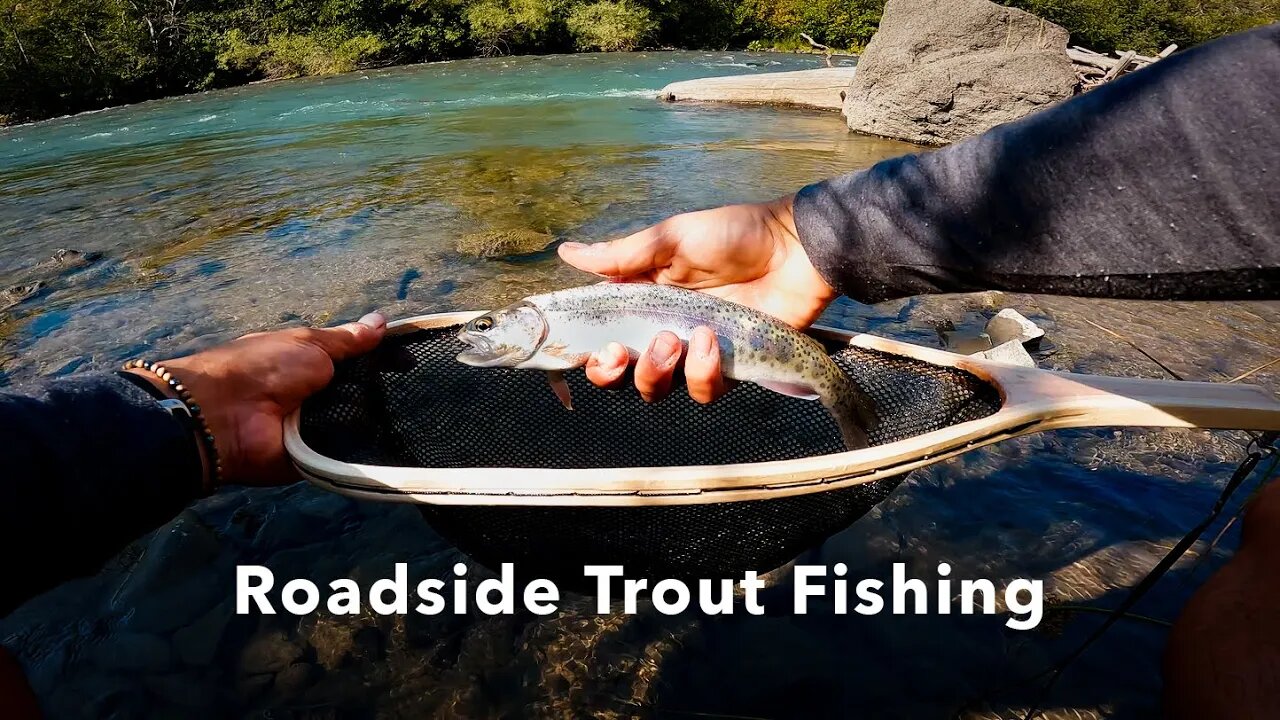 Roadside Fly Fishing Wild Trout in Washington State | Tieton River