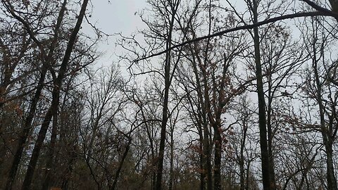 Hiking rainy forest