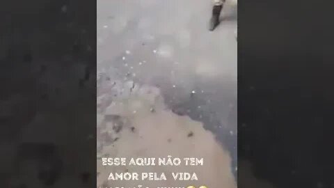 ESSE AQUI NAO TEM AMOR PELA VIDA MAIS NAO CHAMOU A POLICIA PRO PAU ( MEME ) ( VIRALIZOU ) #SHORTS