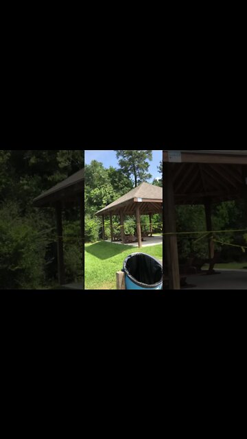 How government works