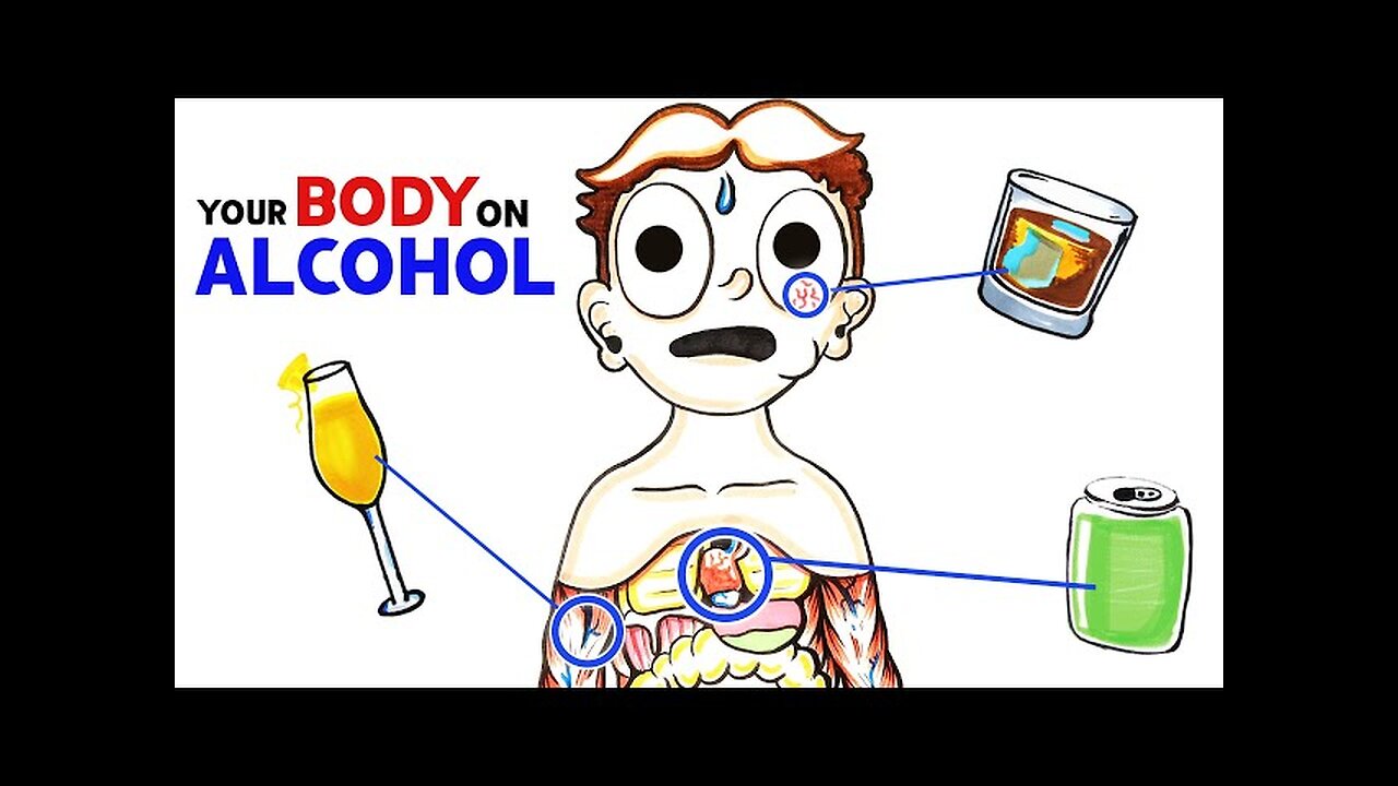 How Alcohol Changes Your Body