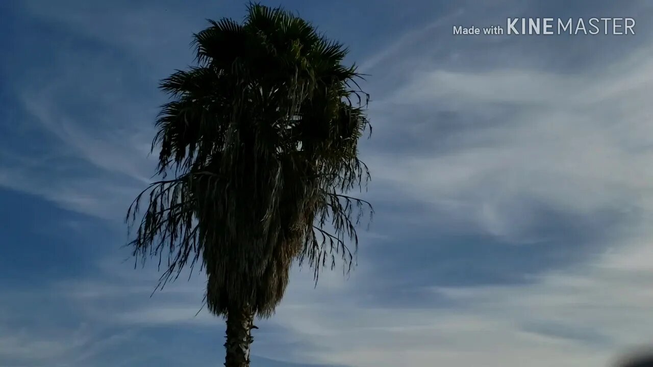 Climate Engineered. Stratospheric Aerosol bombardment before atmospheric river. San Diego,CA 3/5/20