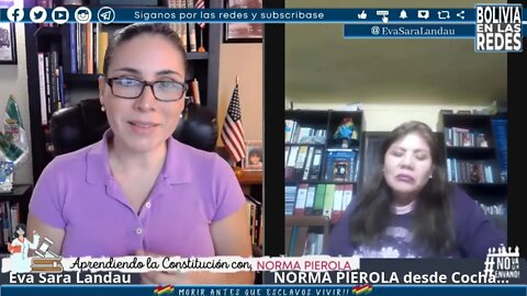 APRENDIENDO LA CONSTITUCION CON NORMA PIEROLA