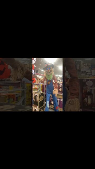 KAPPER scarecrow! But will it work? #youtubeshorts