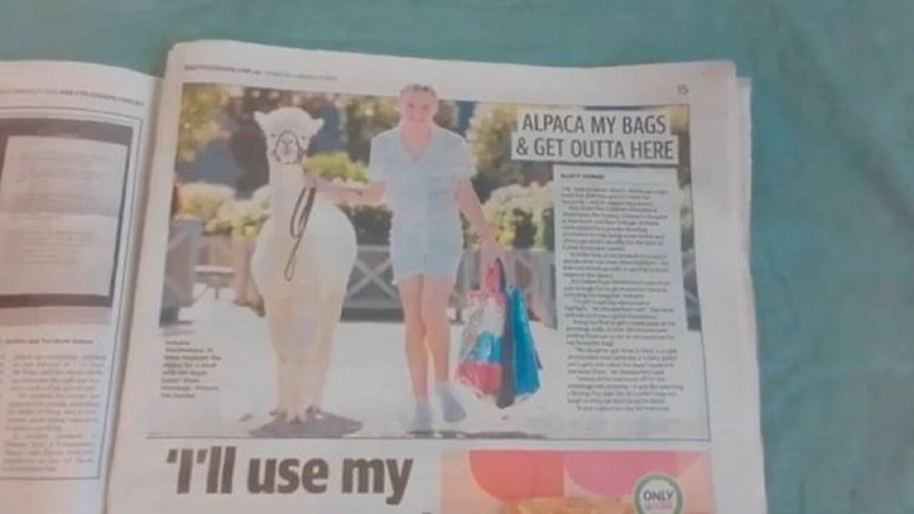 Media magic transforms Albo the backpacker into an alpaca!