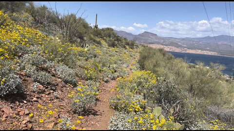 #24 —AZT Thru-Hike 2022 - day 27