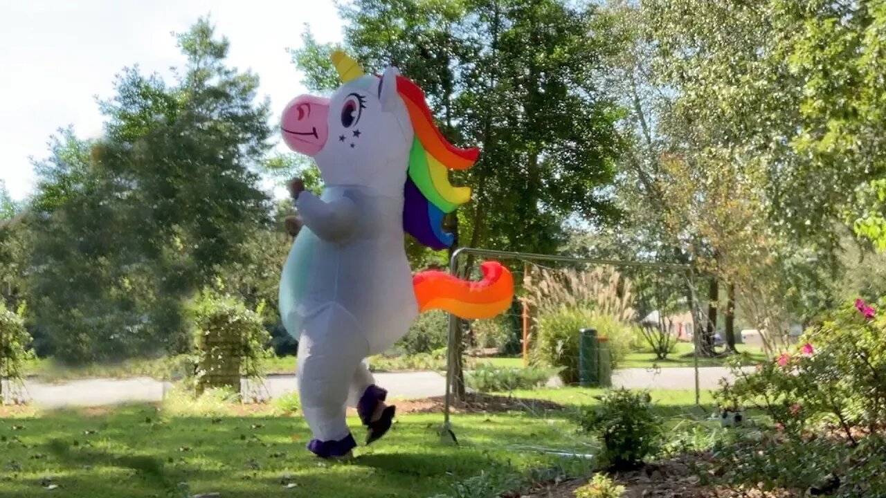 Dad Dresses As Inflatable Dancing Unicorn