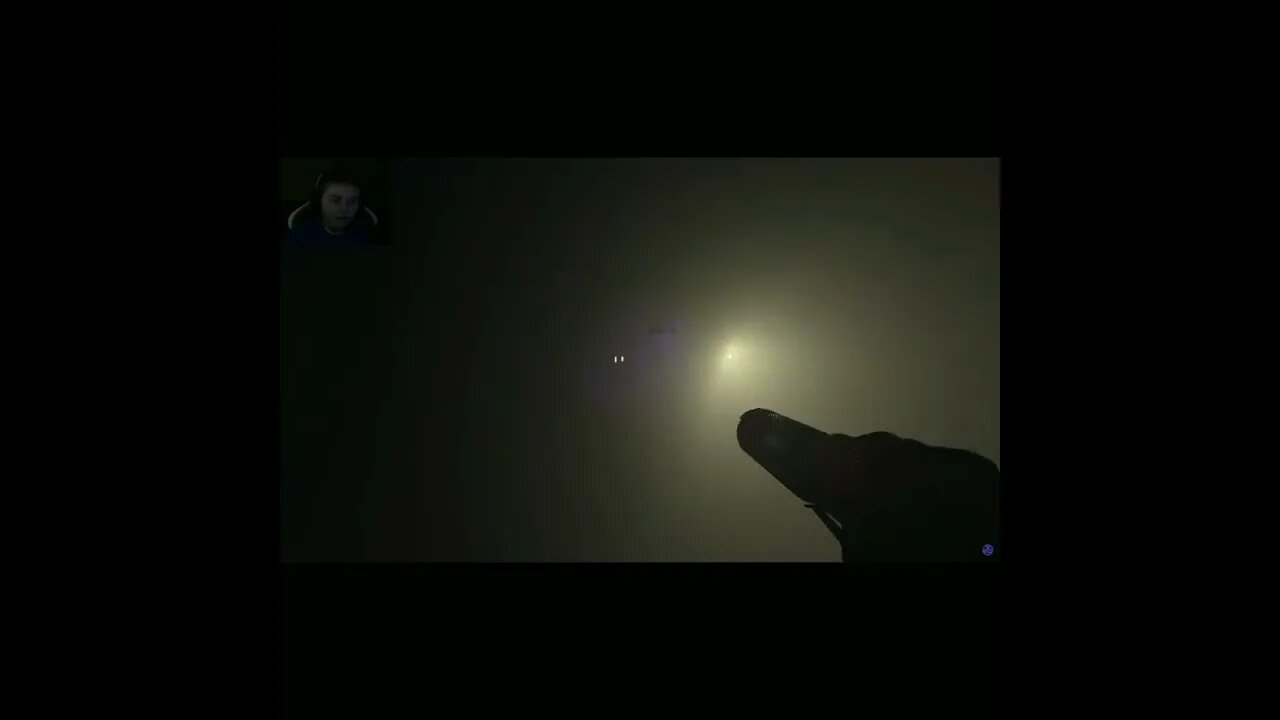 i can feel my brain getting ripped apart - Phasmophobia