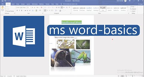 ms word-basics