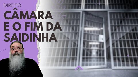 CÂMARA aprova FIM DAS SAIDINHAS de presos no REGIME SEMI-ABERTO, mas será isso ALGO LIBERTÁRIO?