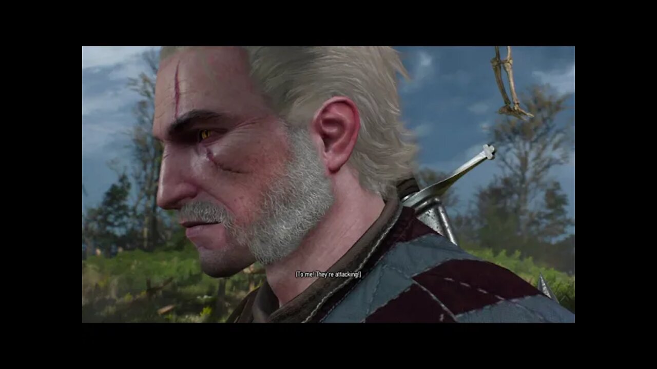 The Witcher 3: Wild Hunt Part 75-Little Red