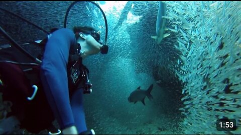 GoPro: Enchanting Scuba Dive with 1 Million Fish