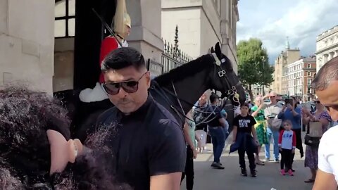 Yanks the Reins from one tourist tells the other to get off #horseguardsparade