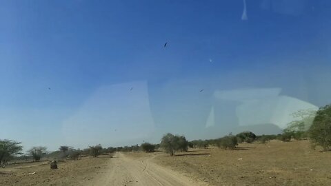 Bikaner desert safari